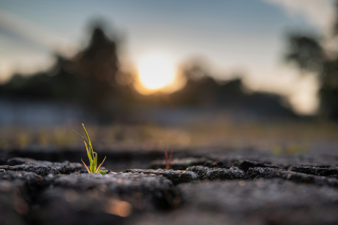 Hope in Action: How Faith Leadership Supports Recovery and Renewal